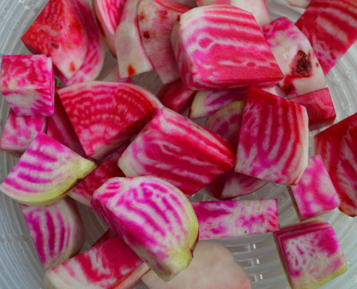 Roasted Chioggia Beets The Veggie Fairy Team