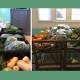 fight hunger with local food
