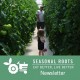 sustainable greenhouses