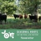 Cattle Run Farm veteran-owned grassfed farm