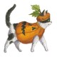 reuse Halloween pumpkins