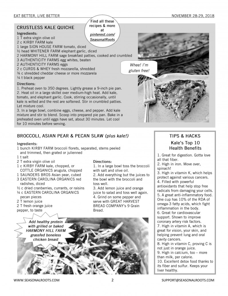 These kale recipes make kids love kale The Veggie Fairy Team