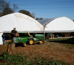 farm at red hill