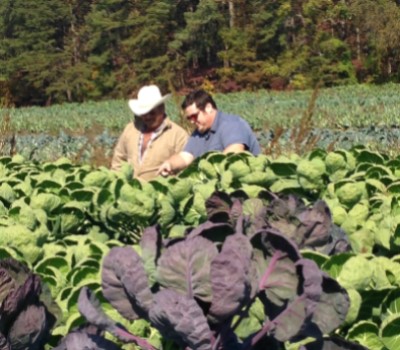 flores farm sustainable farming