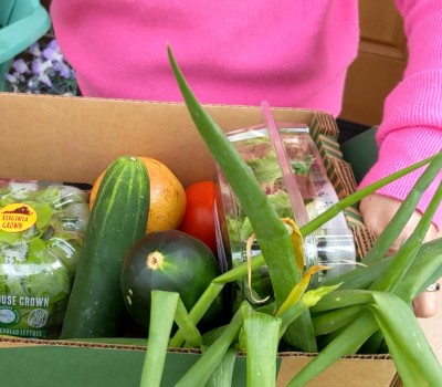 jo anne's box of fresh local food