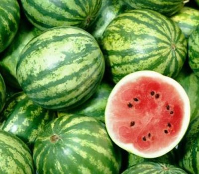 the perfect watermelon