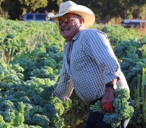 sustainable farming local food